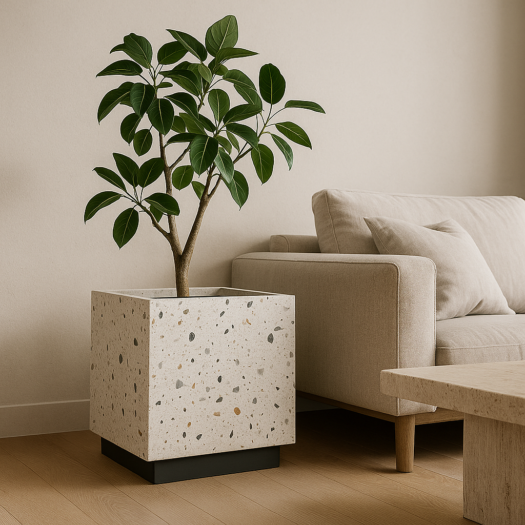 Plant Cube – Terrazzo Edition
