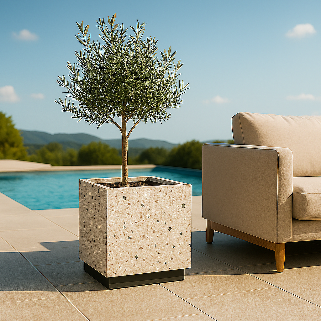 Plant Cube – Terrazzo Edition